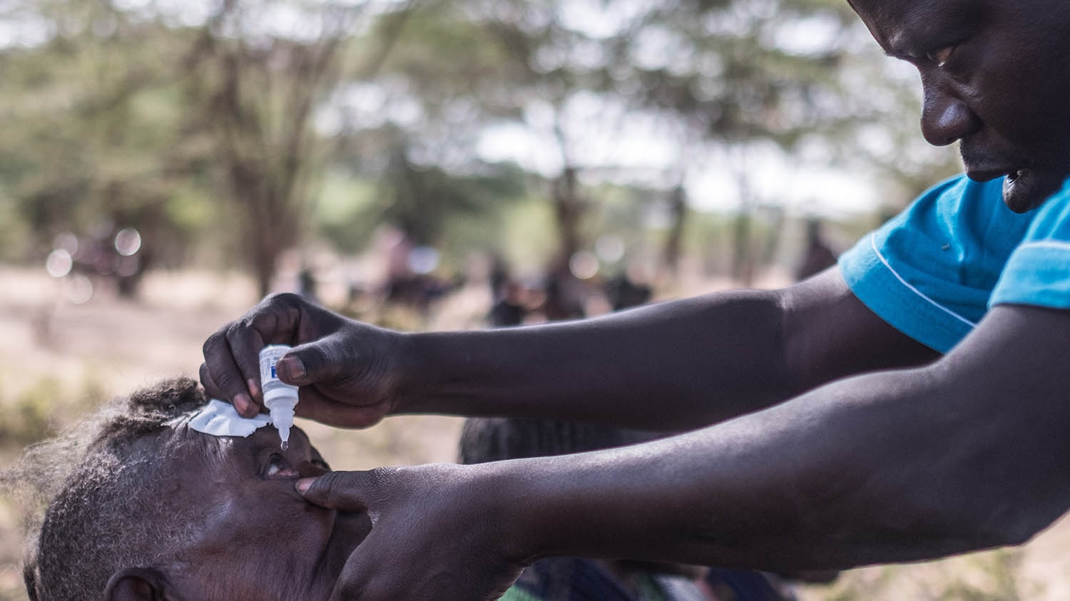 An eye health worker administers some eye drops into a person's eye.