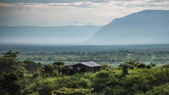 Rwenzori Mountains. in Uganda