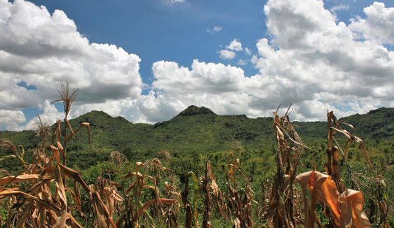 Countryside in Malawi