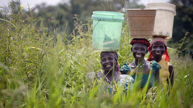 Three women walk through a tall field of grass with large buckets balanced on their heads. All three are grinning at the camera and wear brightly coloured clothes.