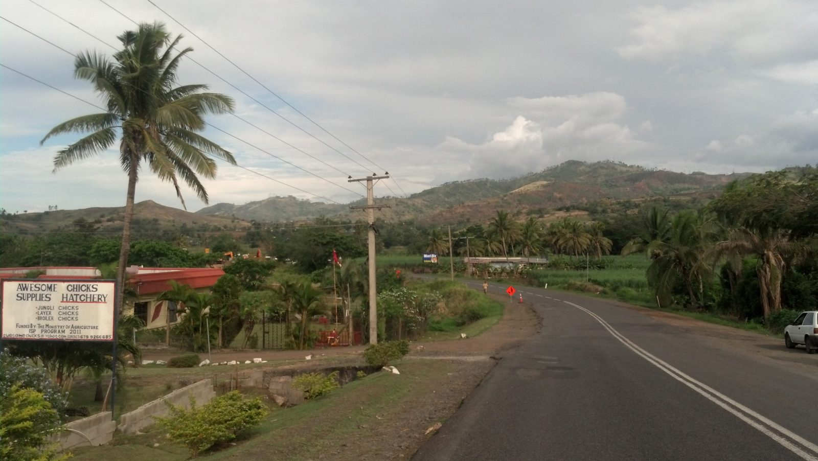 A road in the Pacific Islands, the sky is cloudy and a palm tree stands at the side of the road.